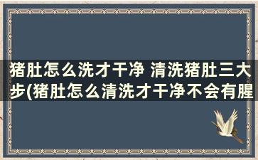 猪肚怎么洗才干净 清洗猪肚三大步(猪肚怎么清洗才干净不会有腥味)